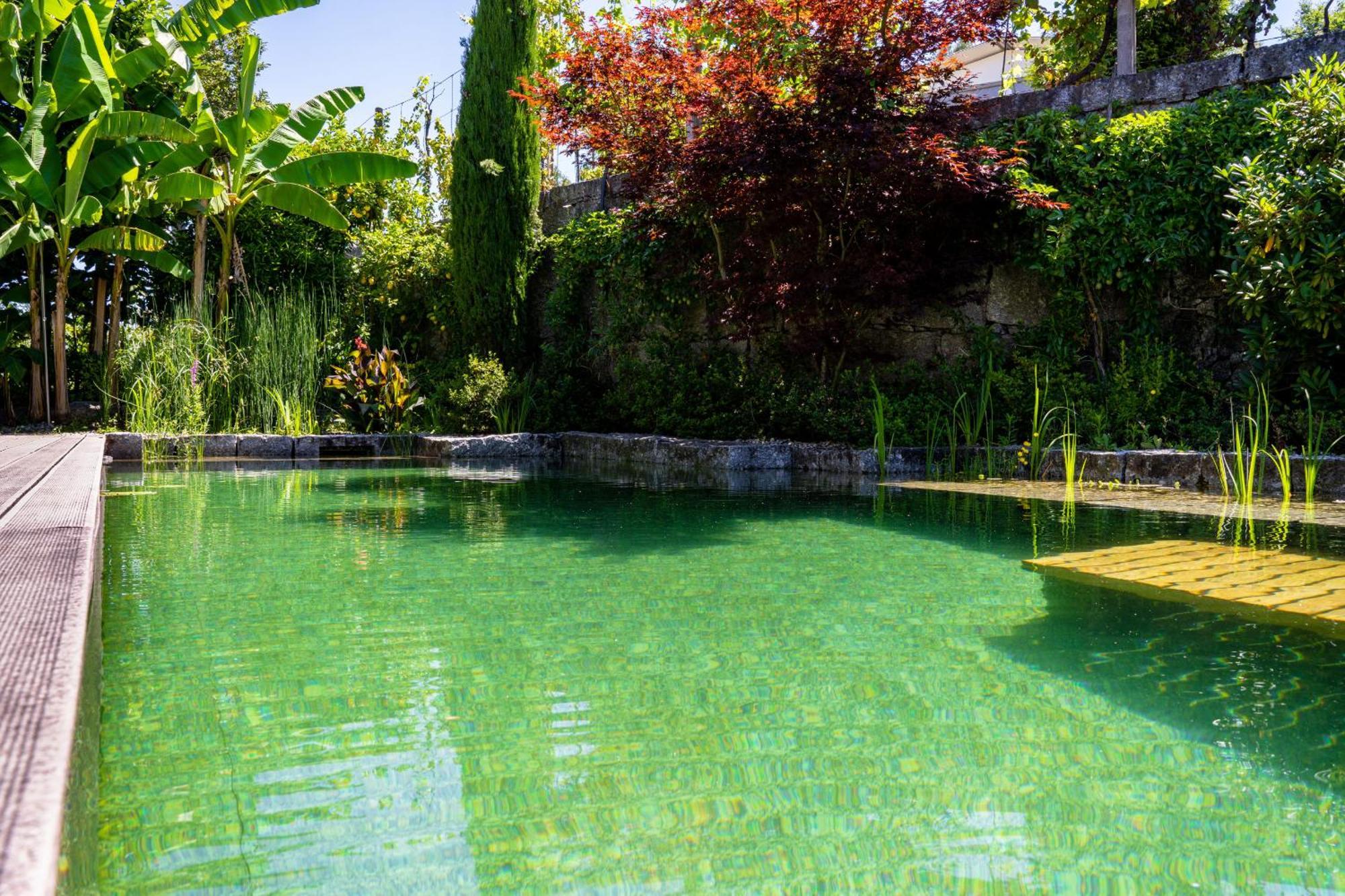 Gondomar Guimaraes - Moradia V3 Com Piscina Natural By House And People Екстер'єр фото