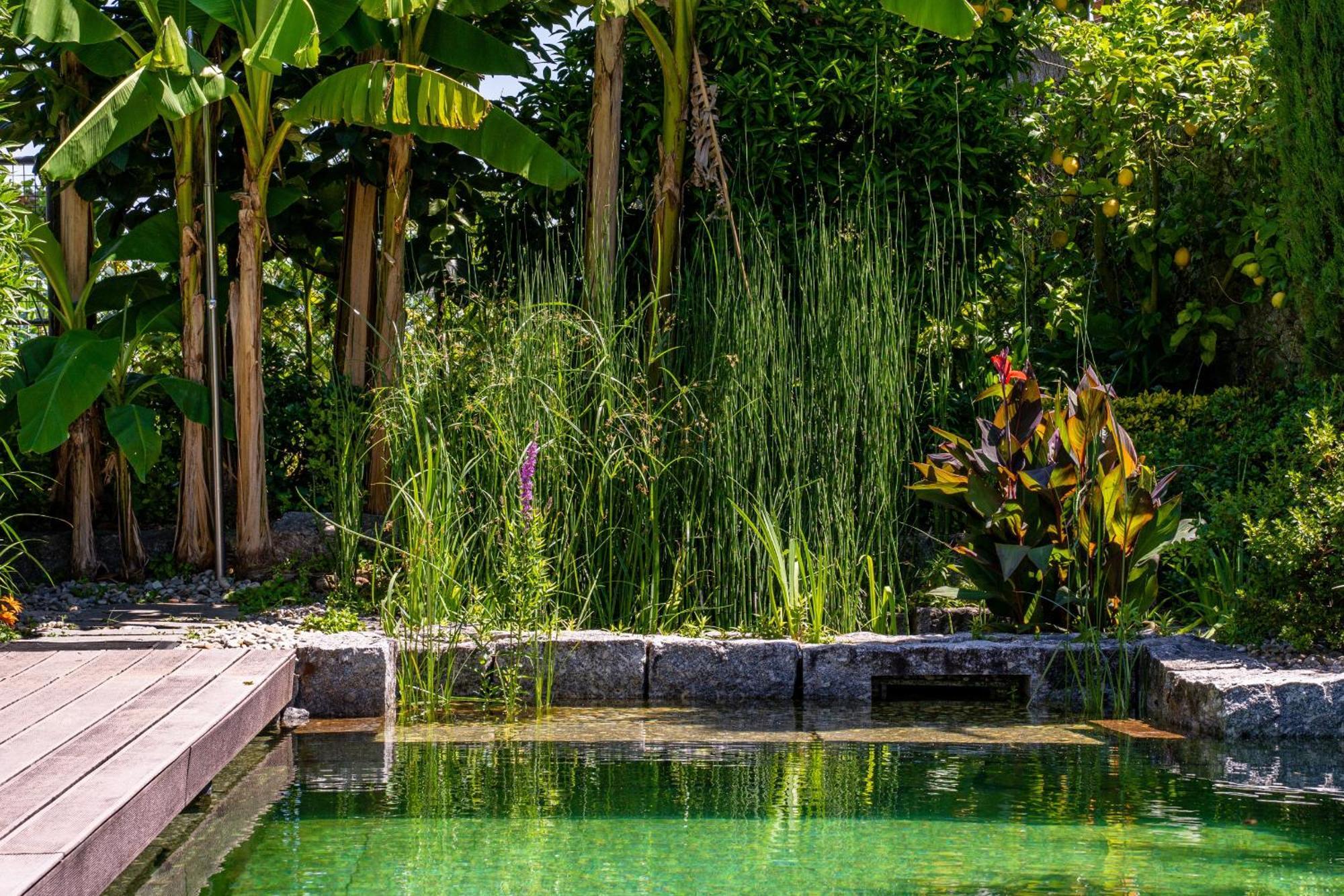Gondomar Guimaraes - Moradia V3 Com Piscina Natural By House And People Екстер'єр фото